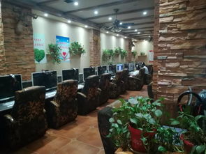 焦作多点位抽查显实效，四城联创理念深入人心，创咖寄卖成新景